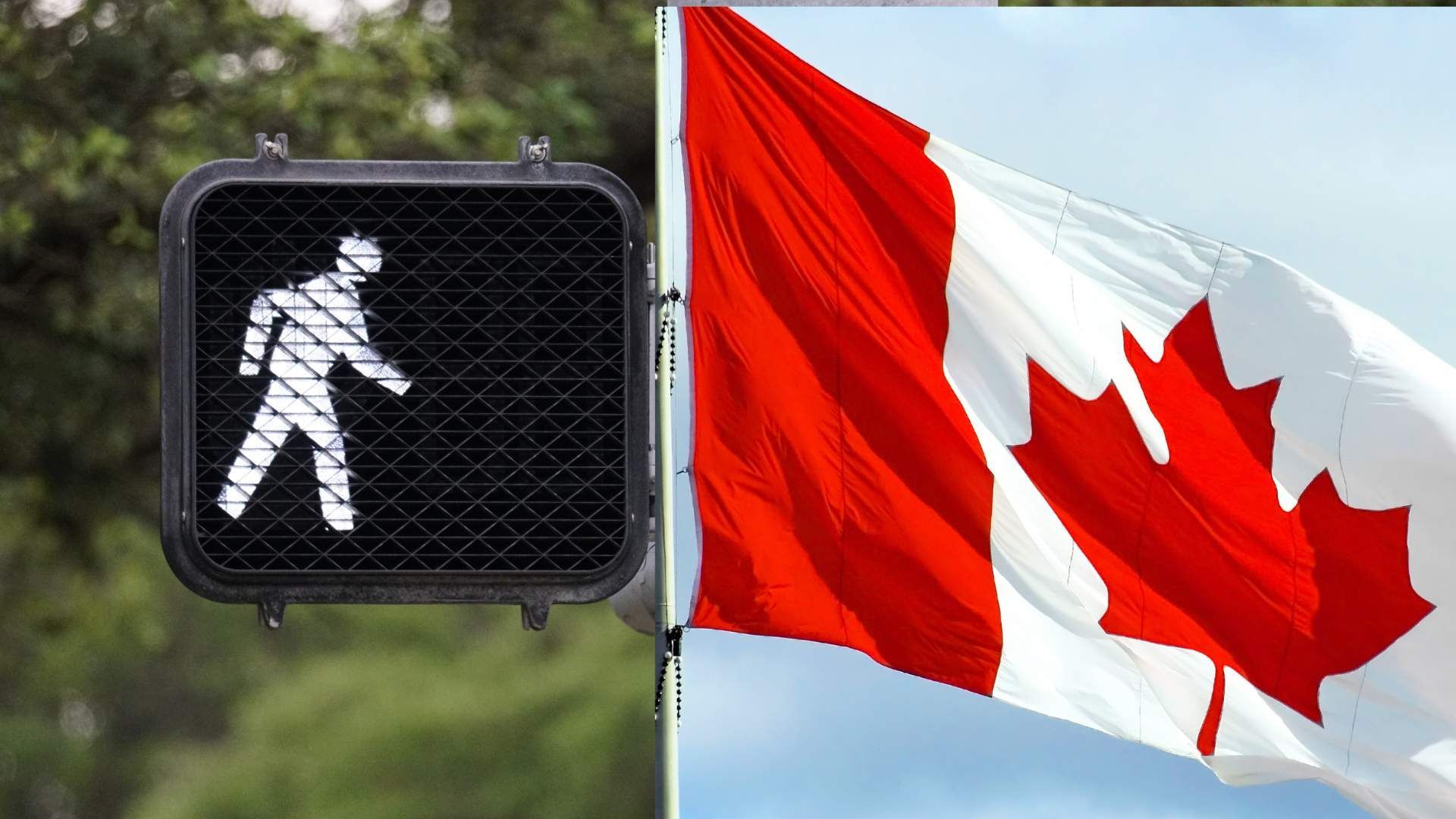 A waving Canadian flag on the right connected in the center as if attached to the same pole as a crosswalk light indicating 