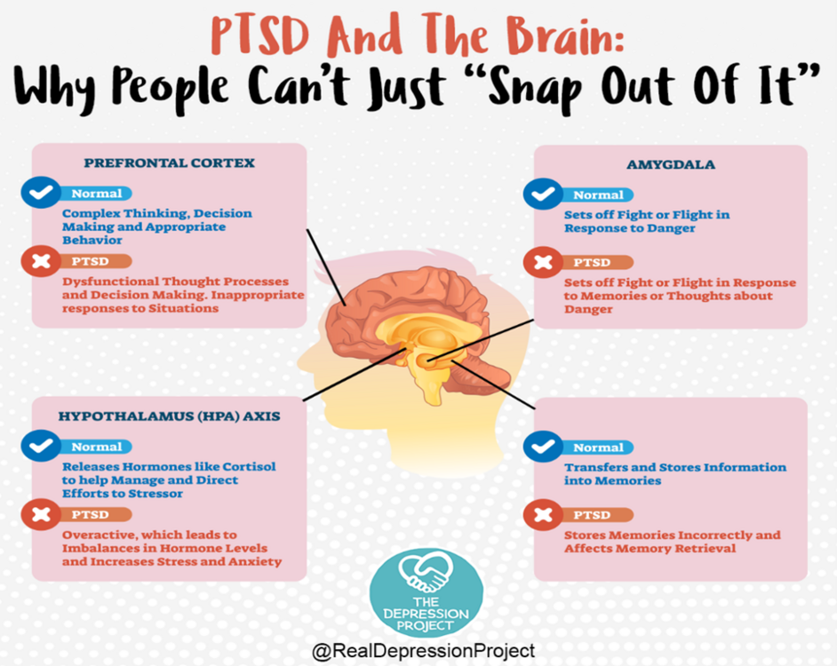 Click To Visit The Depression Project Website. Infographic of PTSD & the Brain: Why People Can't Just