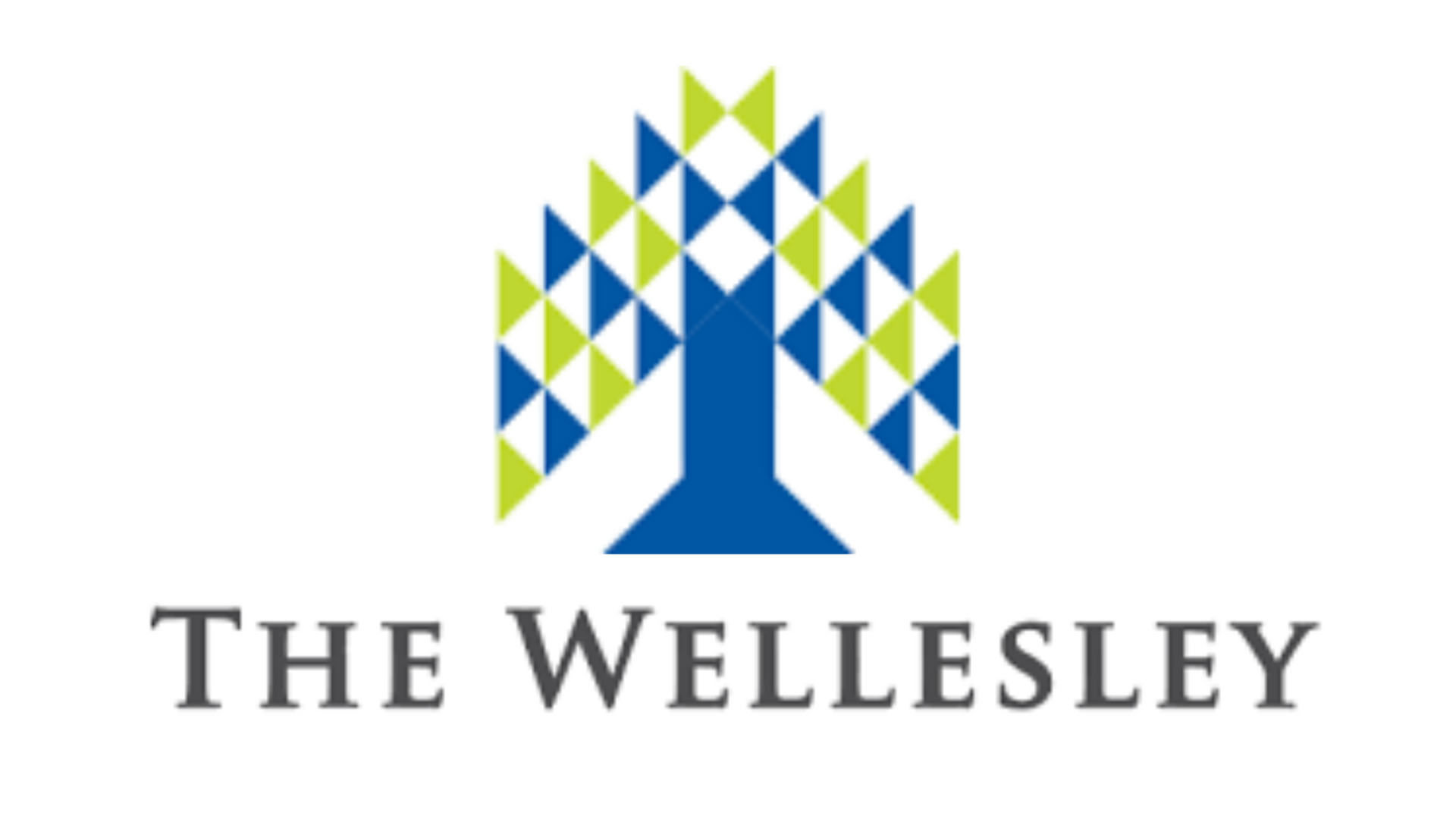 The Wellesley Company Logo