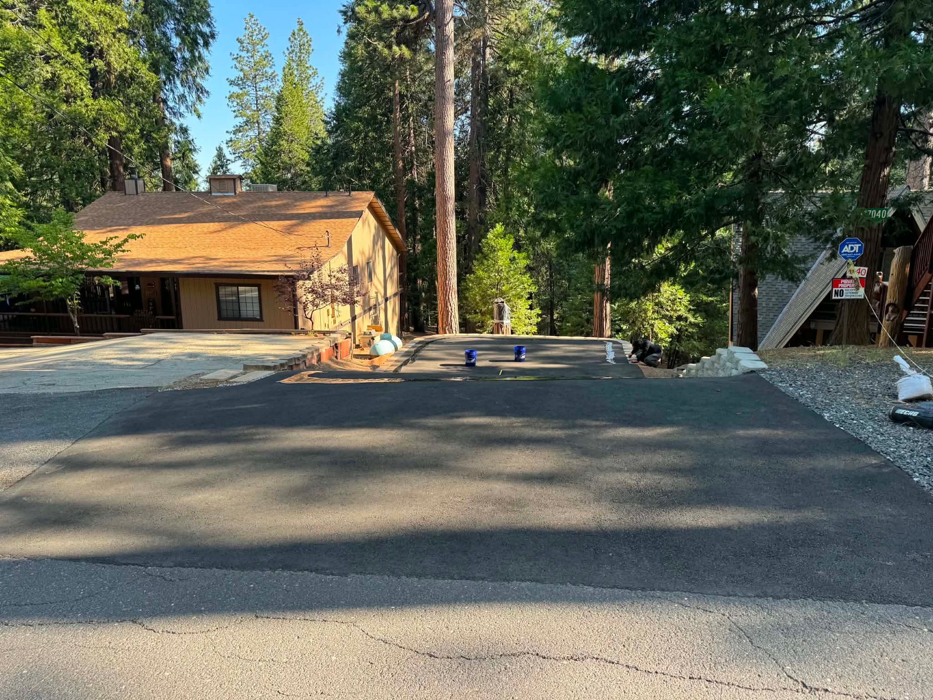 Cabin and driveway in a wooded forest clearing with tall pine trees and a fire pit area