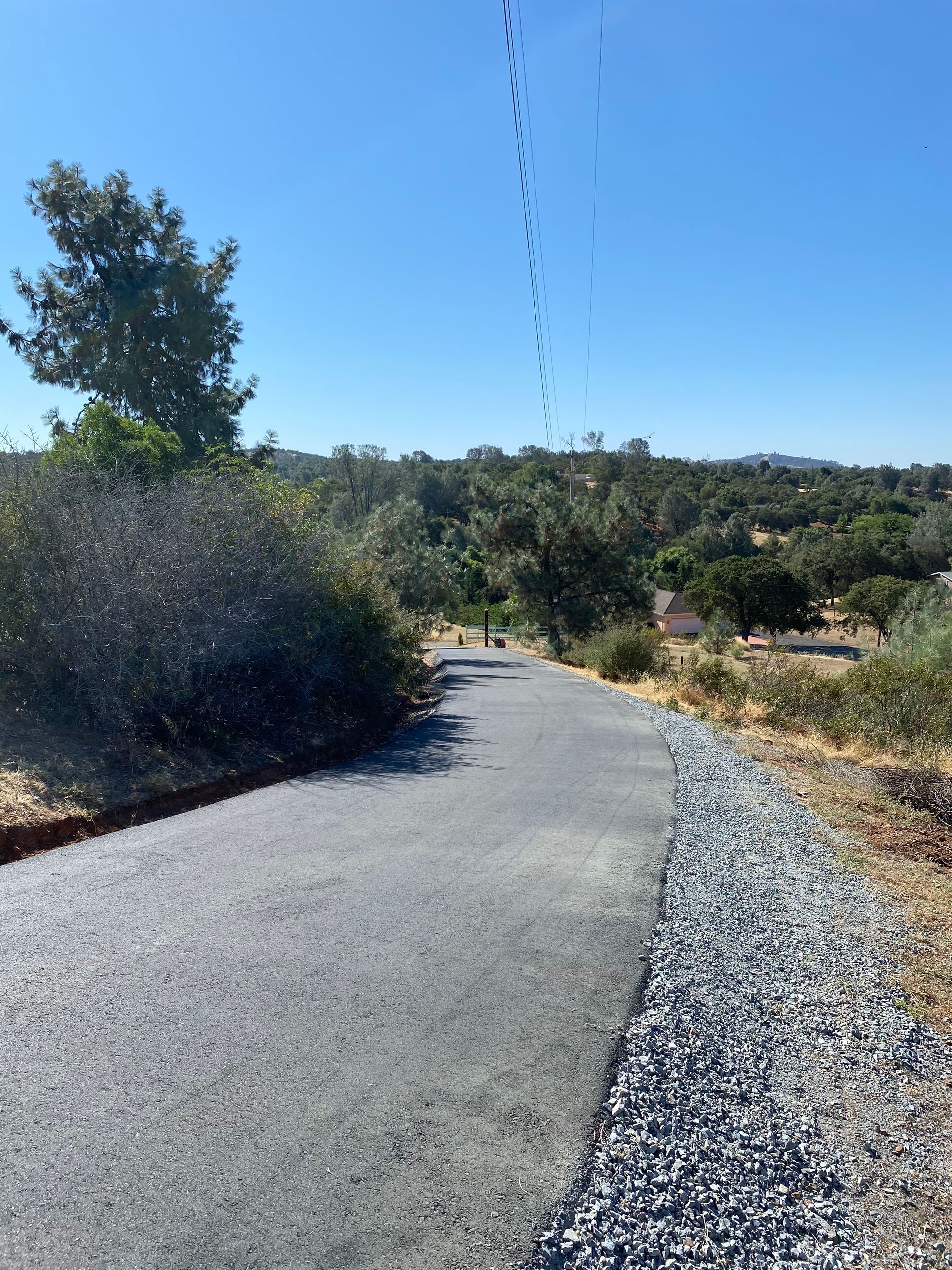 A gravel driveway leads down a hill through trees and brush under a bright blue sky.