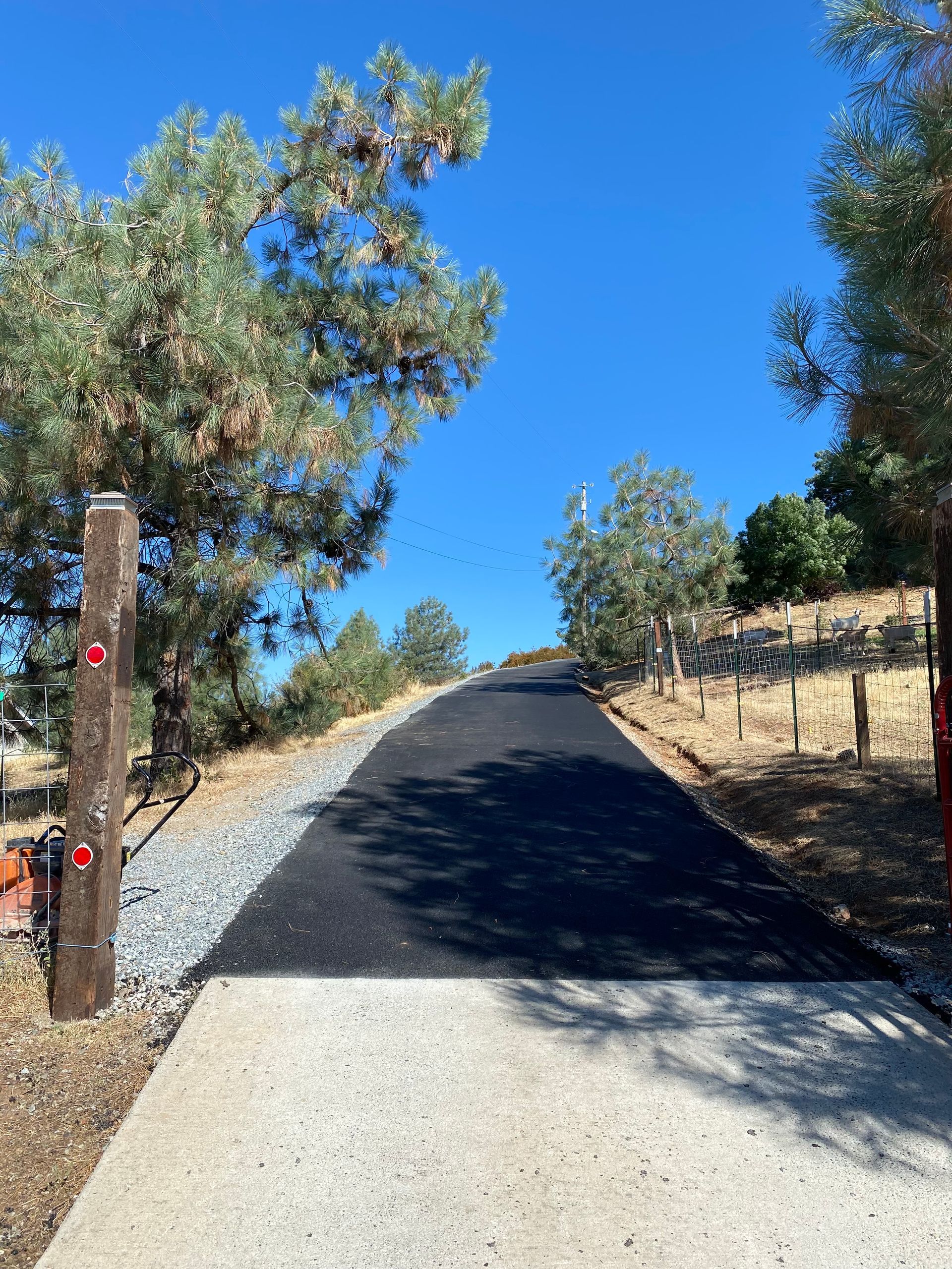A paved driveway transitions from a concrete base to a fresh black asphalt surface, leading uphill between trees.