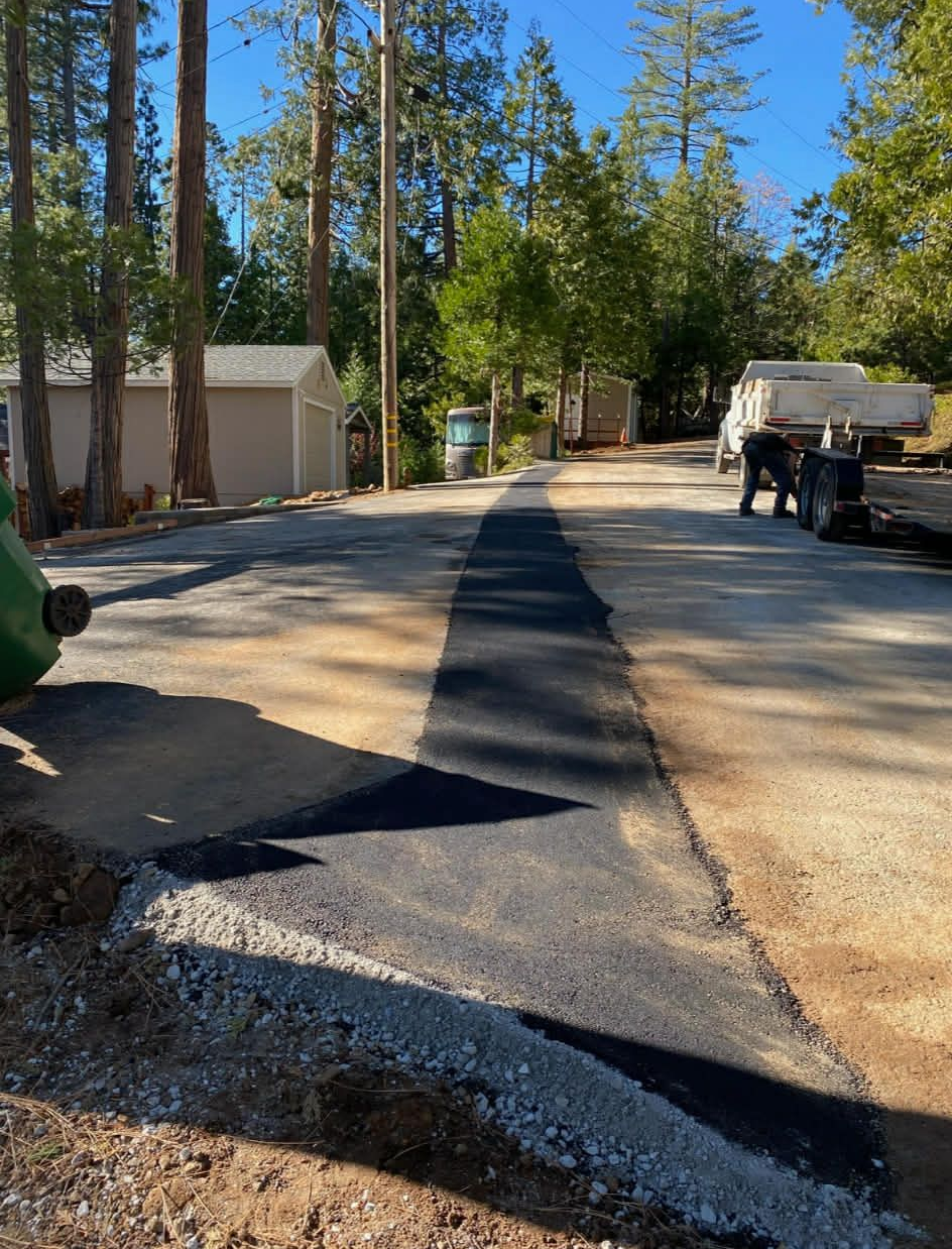 A freshly paved black asphalt strip cuts through a light-colored dirt driveway surrounded by tall trees and a small building.