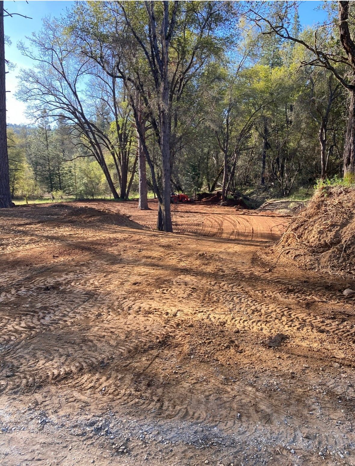 A dirt road in the middle of a forest with trees in the background.