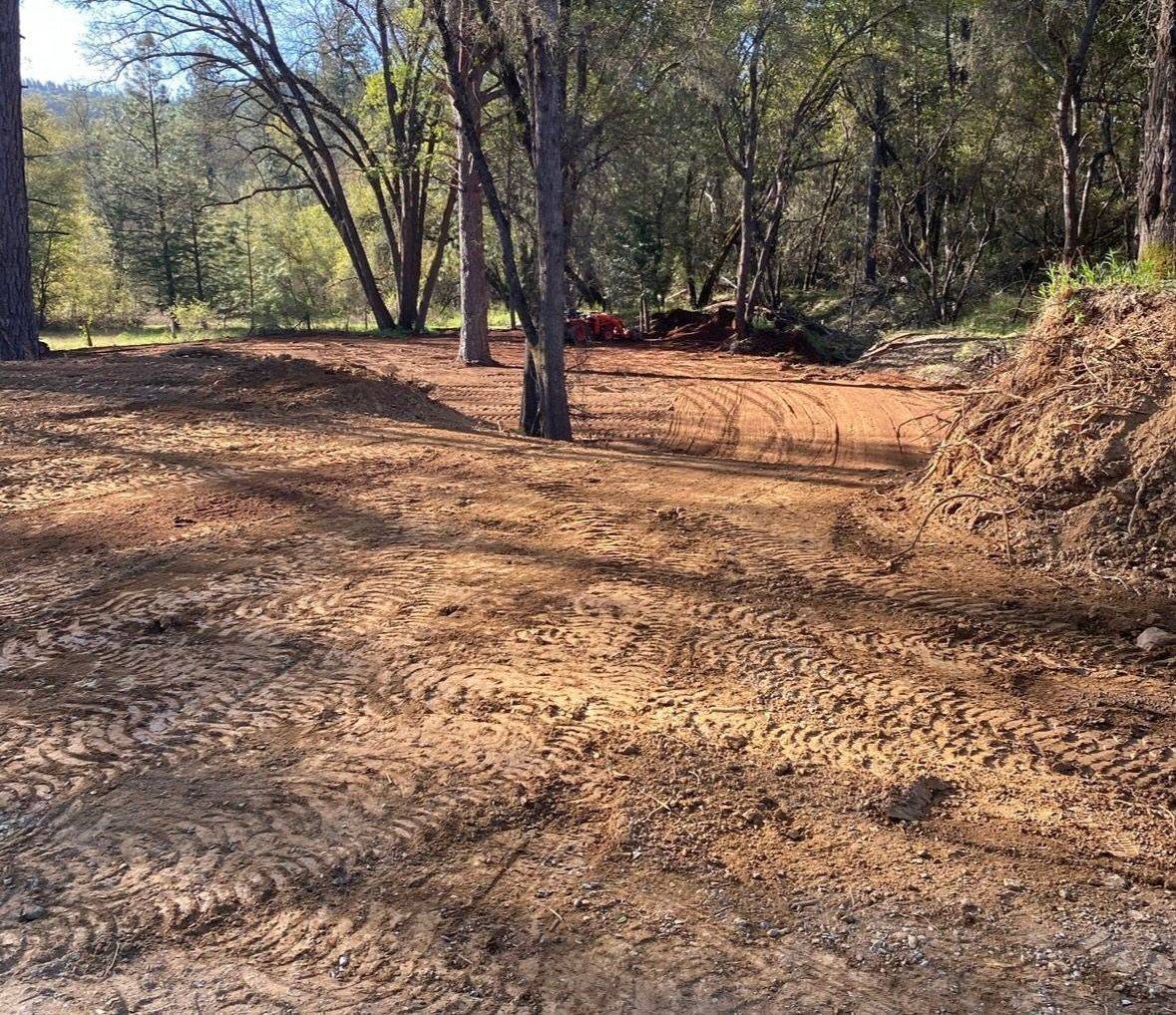 A dirt road in the middle of a forest with trees in the background.