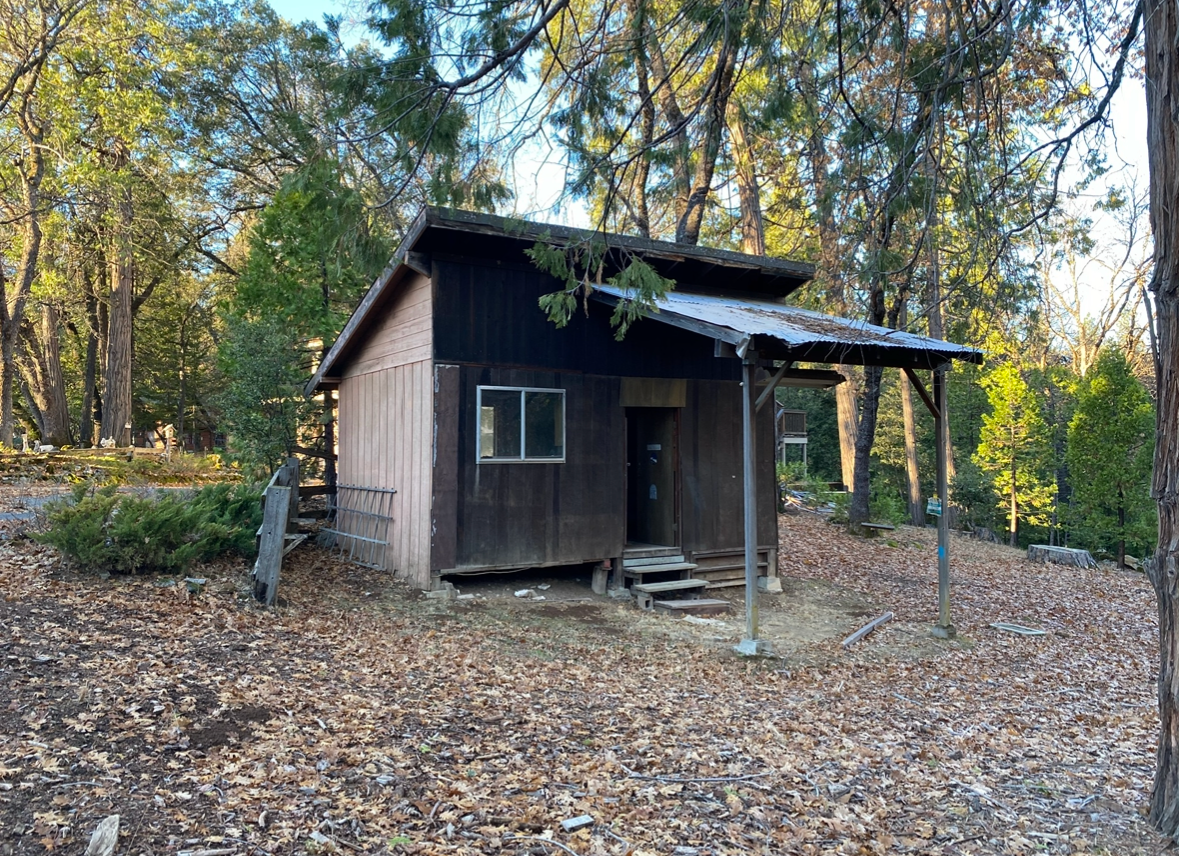A small, rustic wooden cabin with a black upper wall and metal porch roof stands in a wooded area covered in dry leaves.