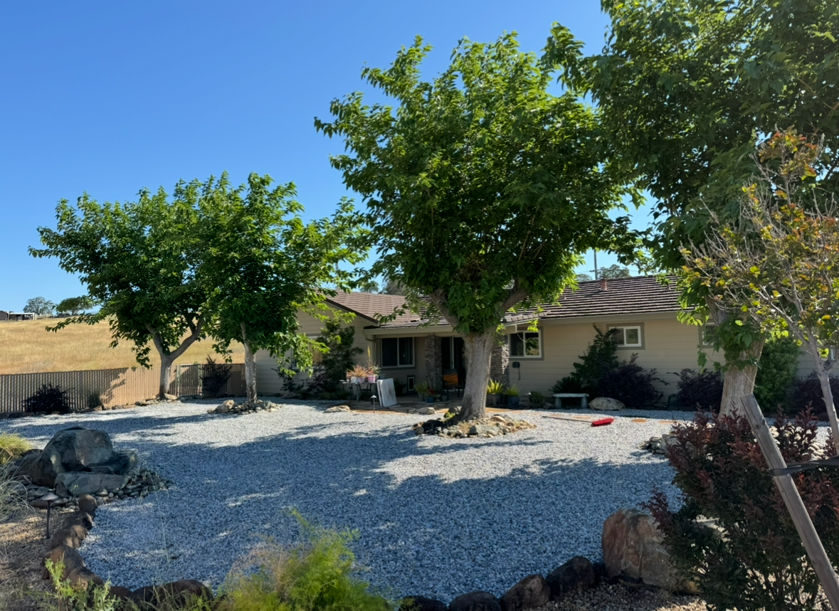 A single-story house with a grey gravel yard featuring three large, leafy trees under a clear blue sky.