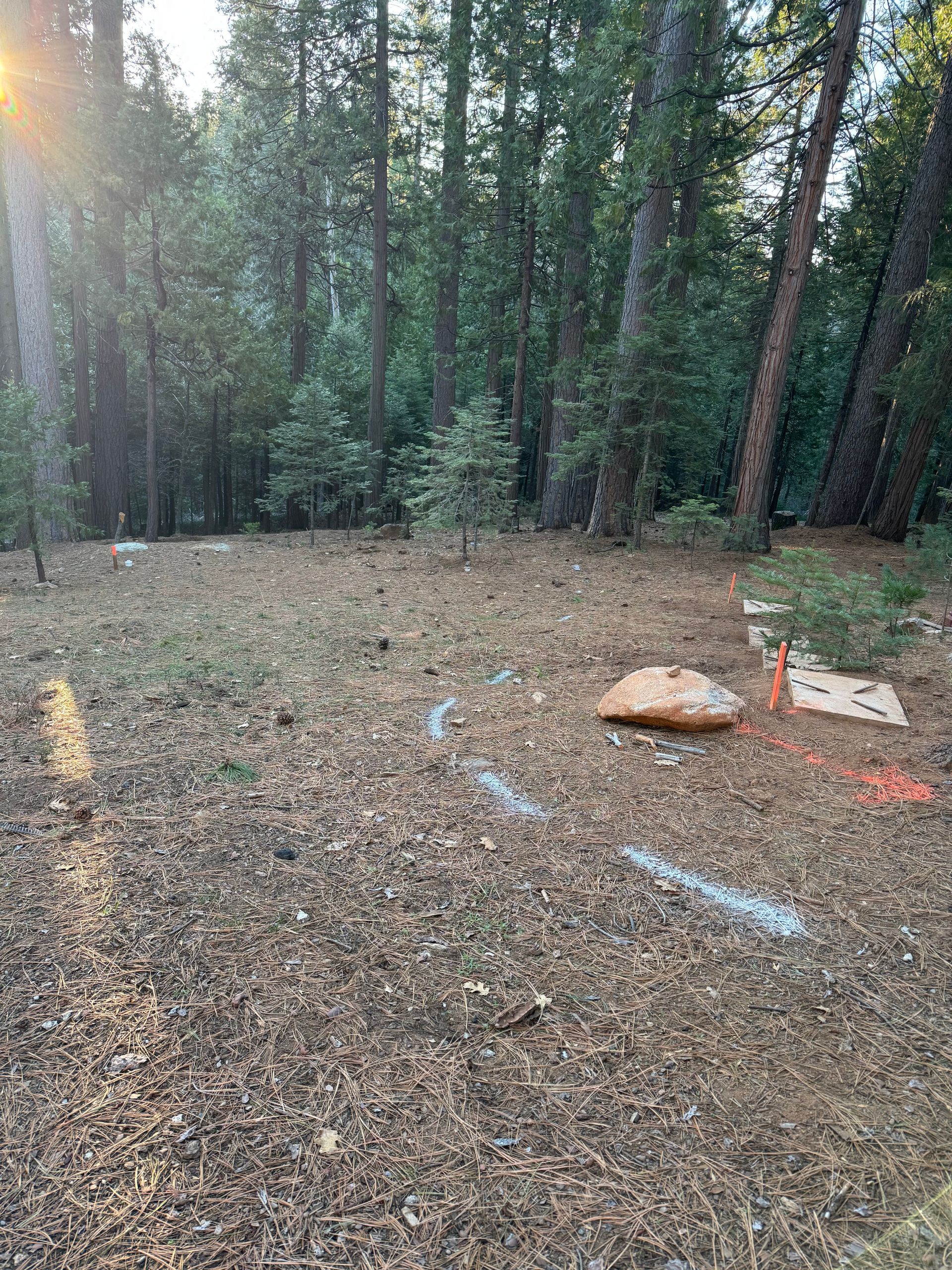 A wooded area showing markings on the ground, including orange and white paint lines and an orange stake near a rock.