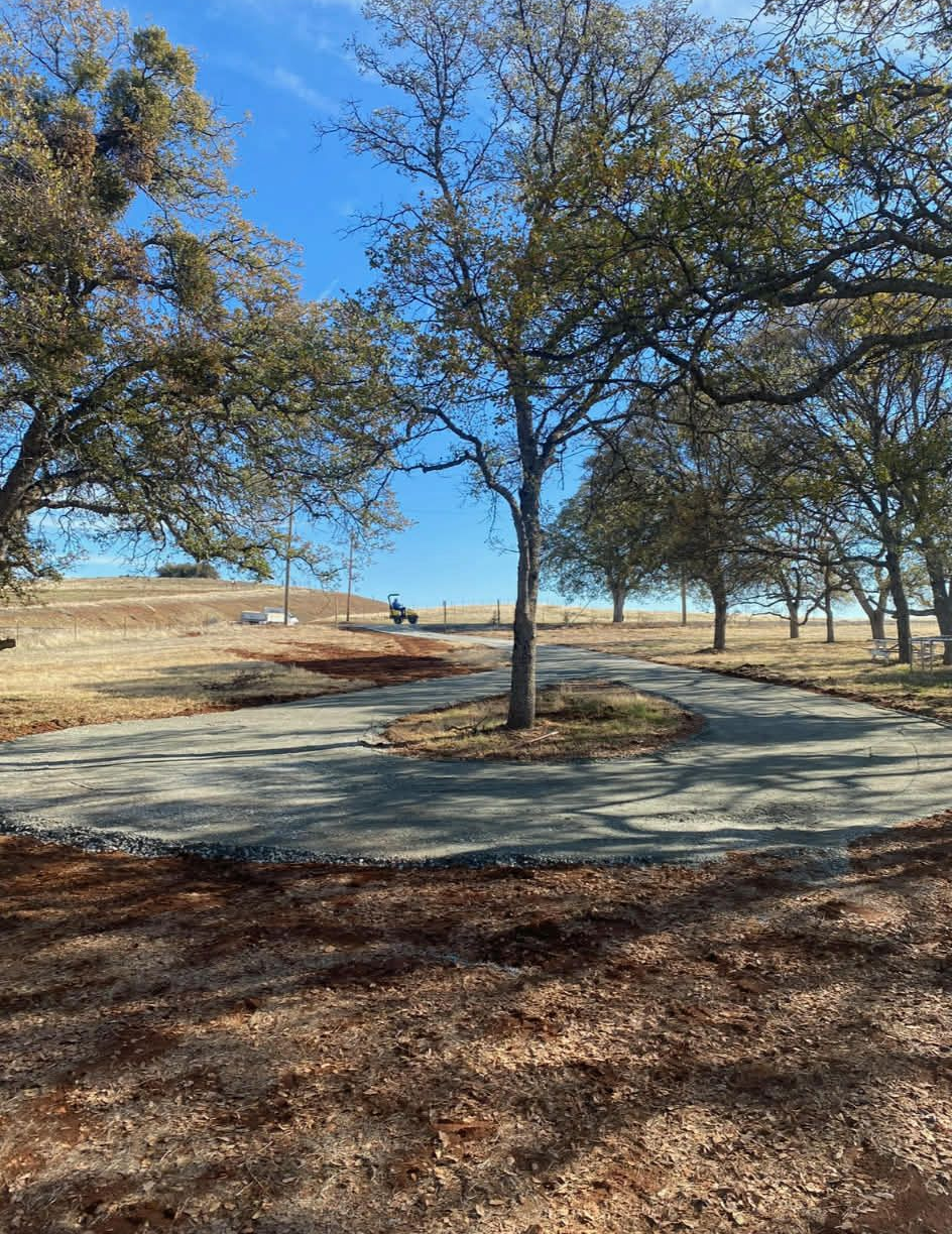A gravel circular driveway winds around a tree in a sunny, rural landscape with dry grass and more trees in the background.