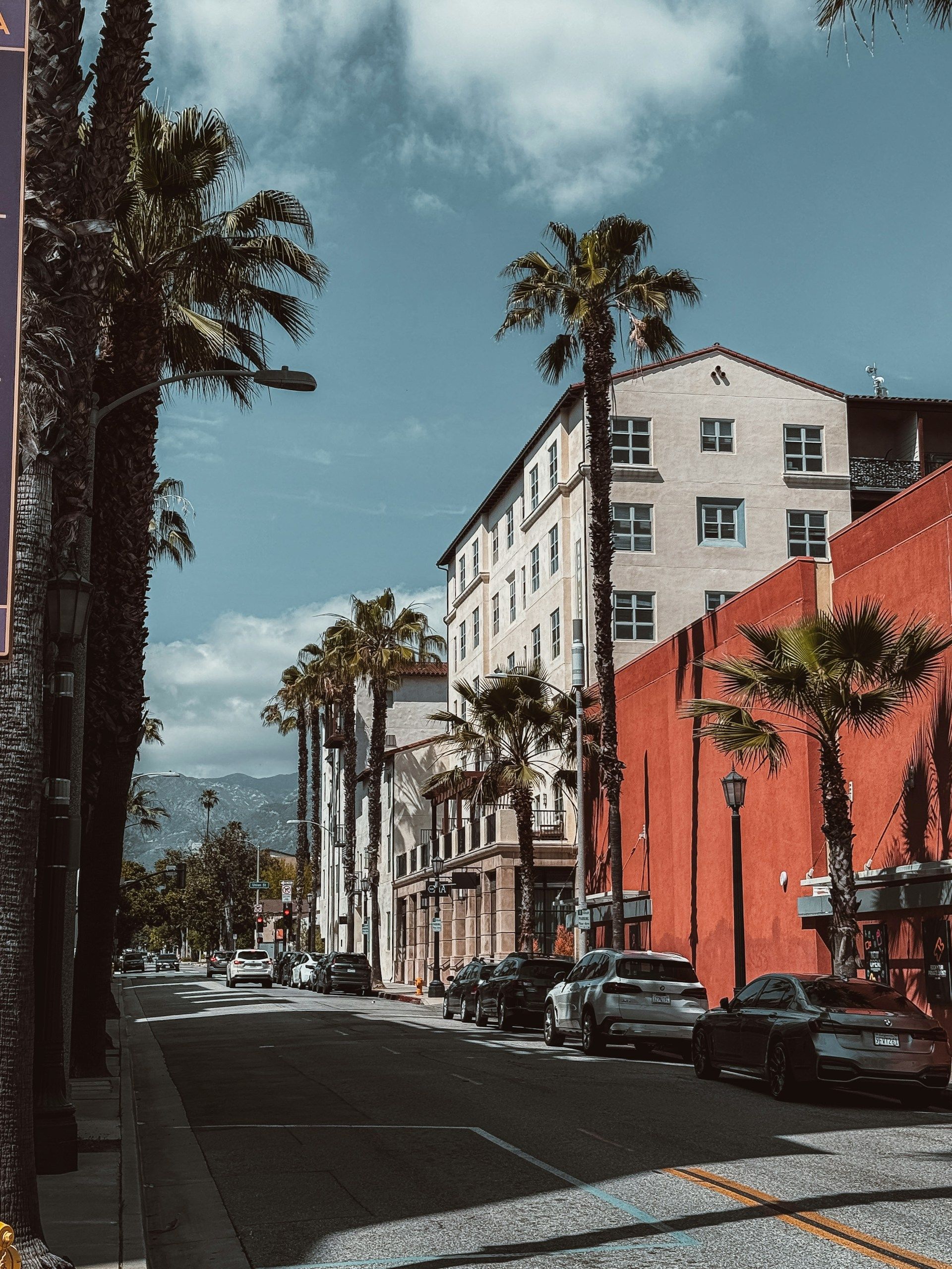 A sunny street view with tall palm trees, a large white building, a long red wall, and cars parked along the road.