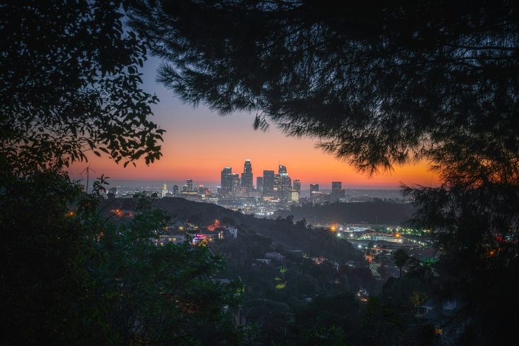 View of the Los Angeles skyline at sunset, framed by dark foreground tree silhouettes.