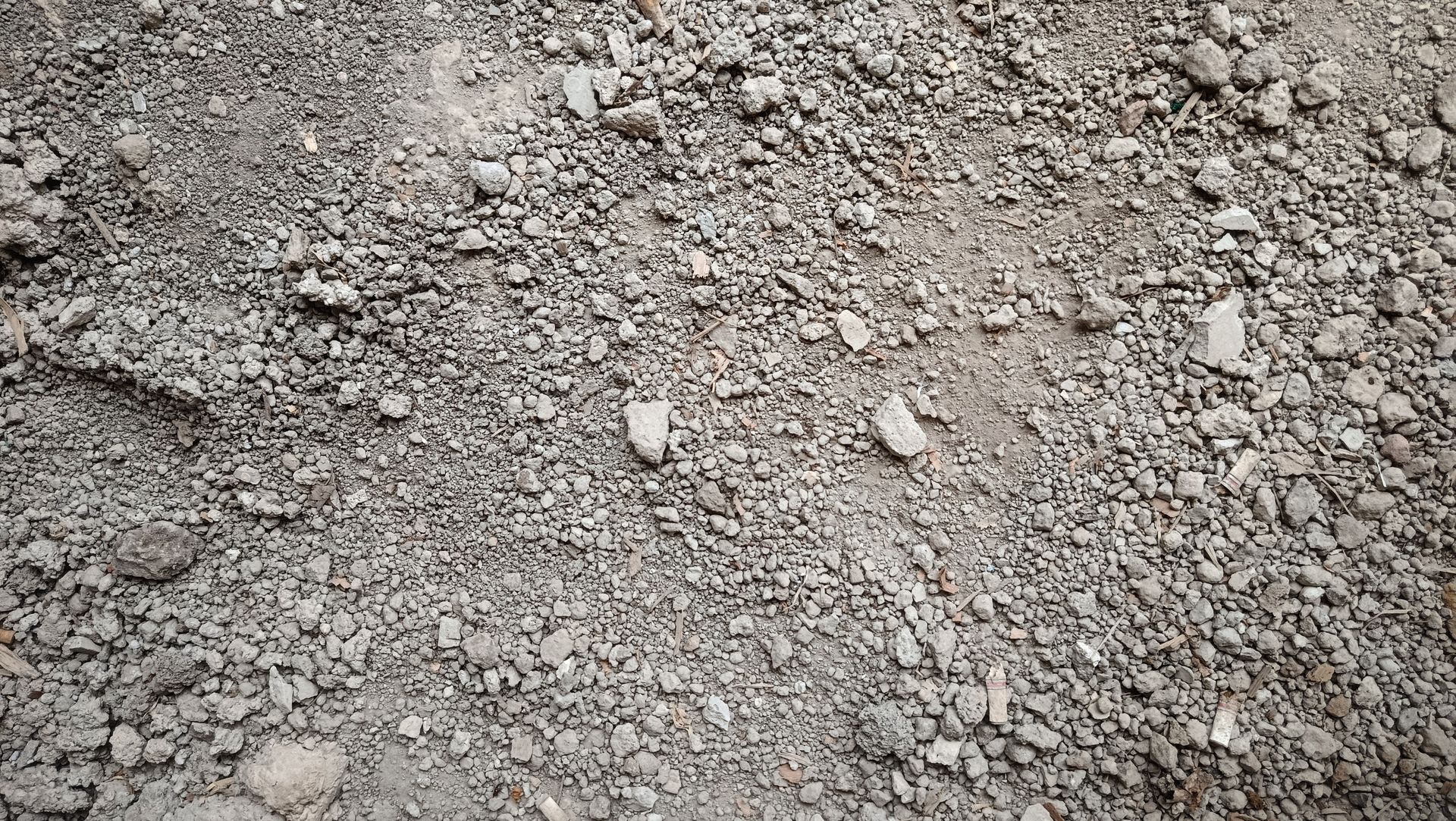 The ground surface is small rocks and dry gray gravel, with a rough and uneven texture