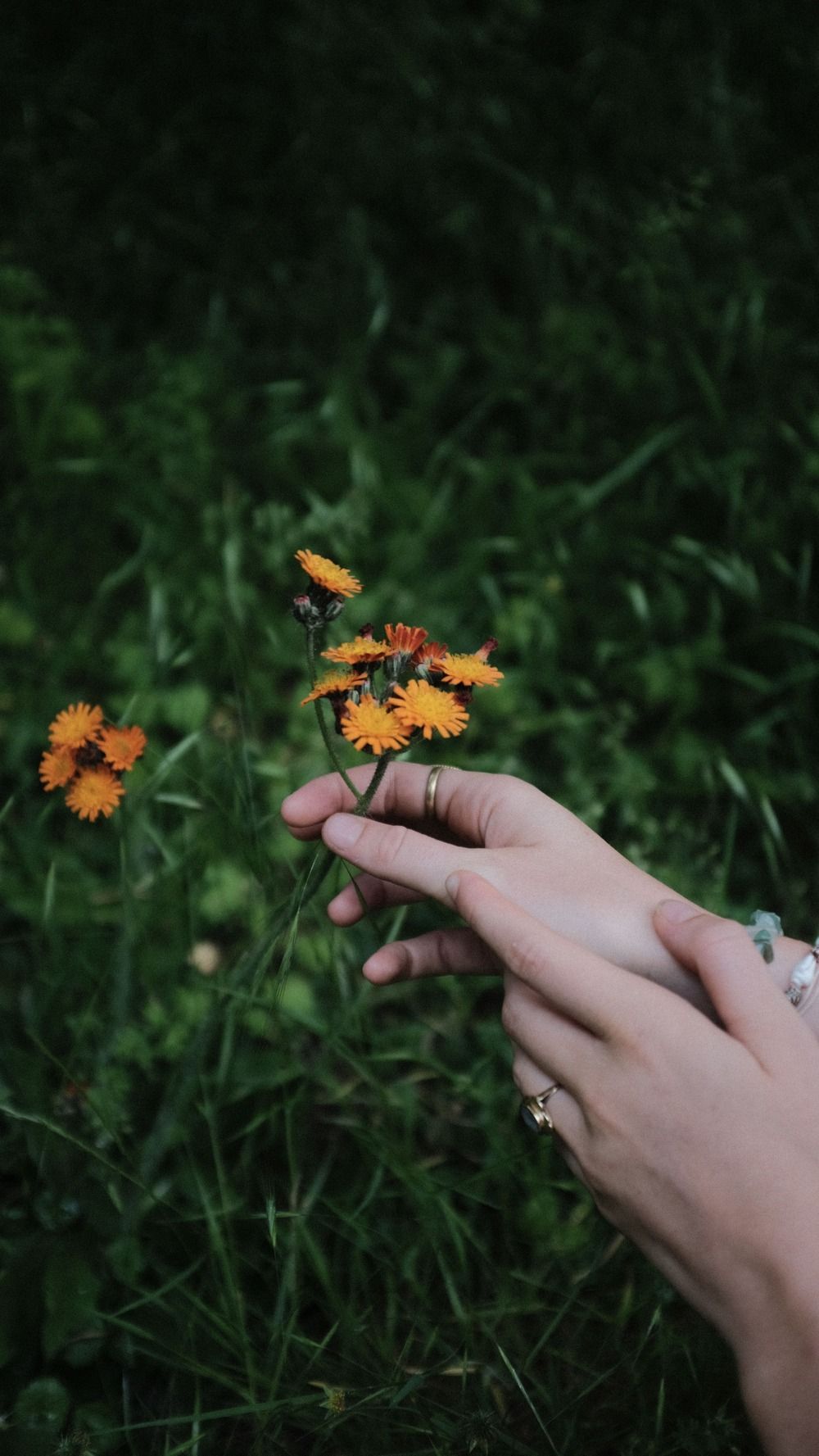 Soft warm light on hands, healing atmosphere