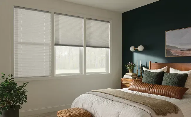 Bright bedroom with a bed, dark green accent wall, and windows with white blinds
