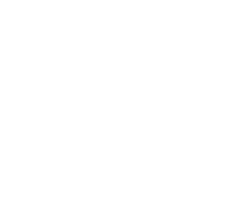 Empty white background.