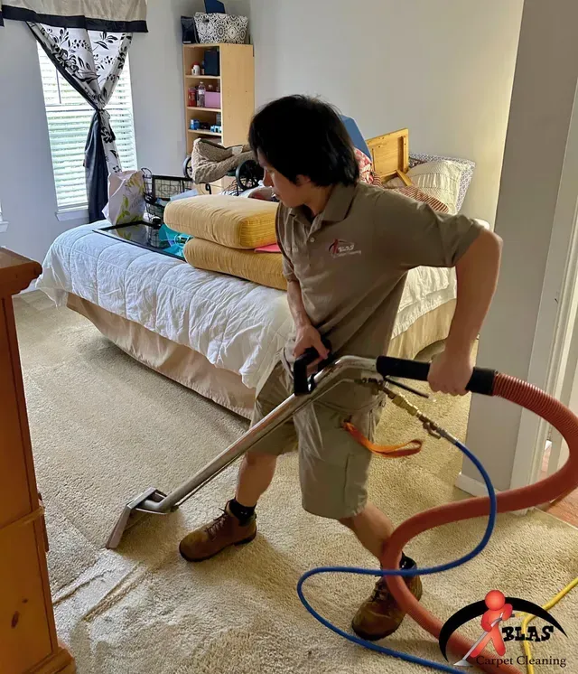 Professional carpet cleaning specialist removing stains from carpeting in Atlanta, Georgia home.