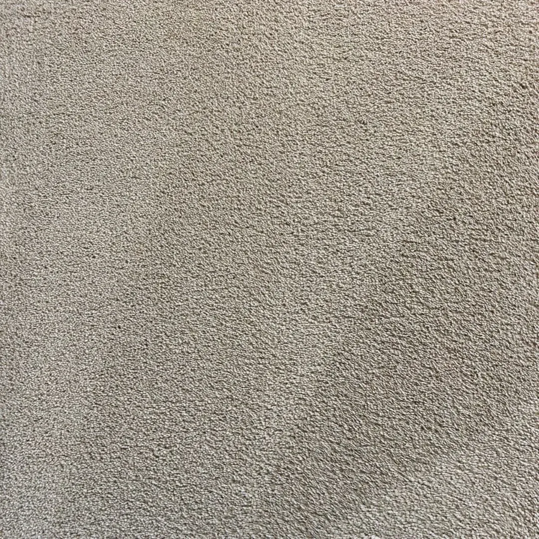 After professional steam carpet cleaning service in Atlanta, Georgia.