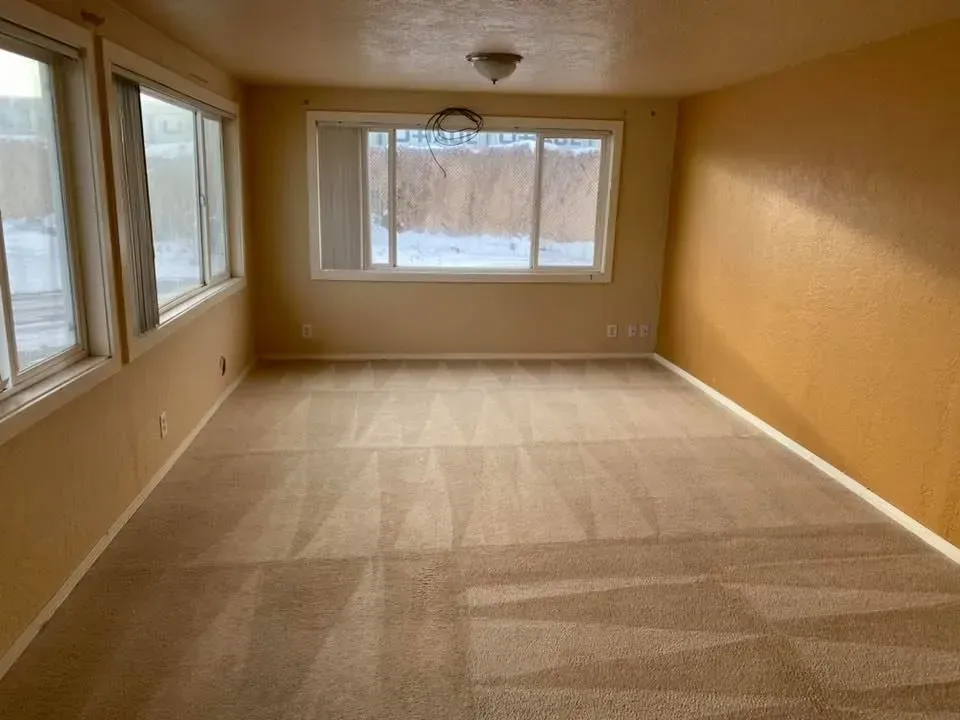 After carpet steam cleaning service in Denver, Colorado.