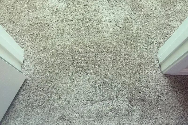 After carpet repair service.