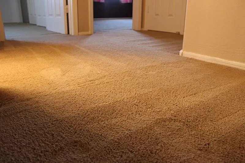 After carpet repair service in Denver, Colorado.