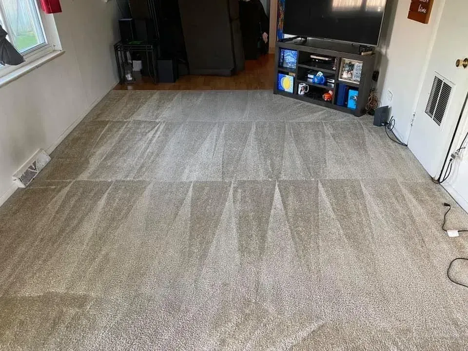After professional steam carpet cleaning service.