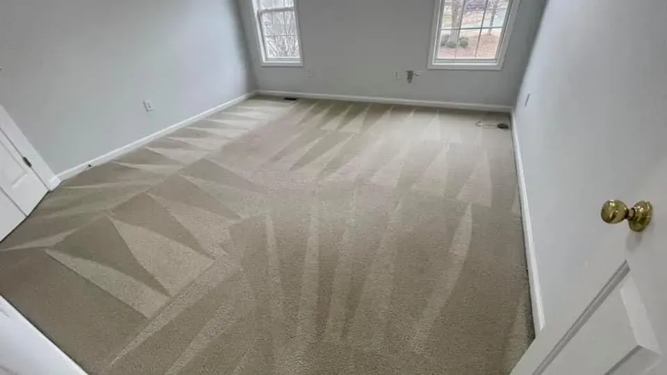 After professional carpet cleaning service in Denver, Colorado.