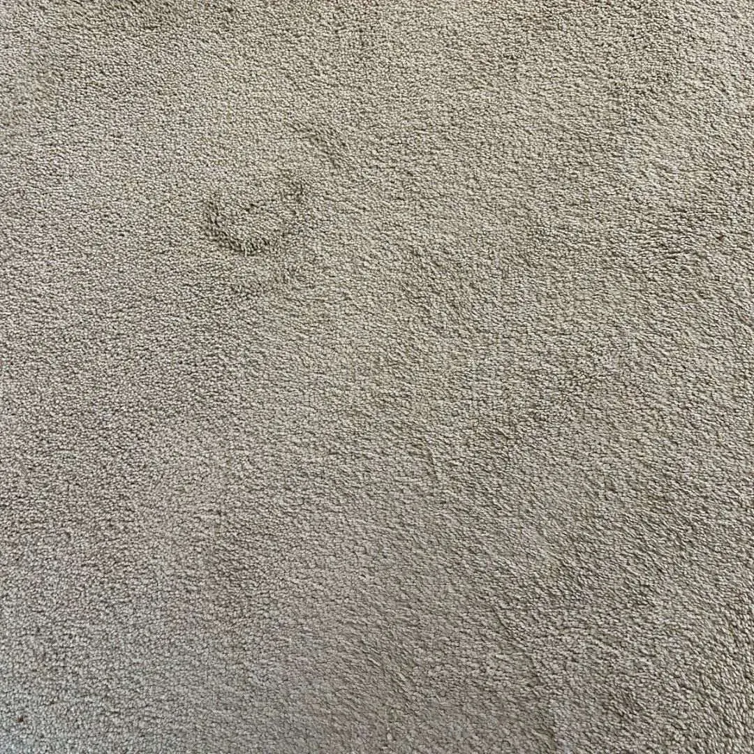Before professional steam carpet cleaning service in Atlanta, Georgia.
