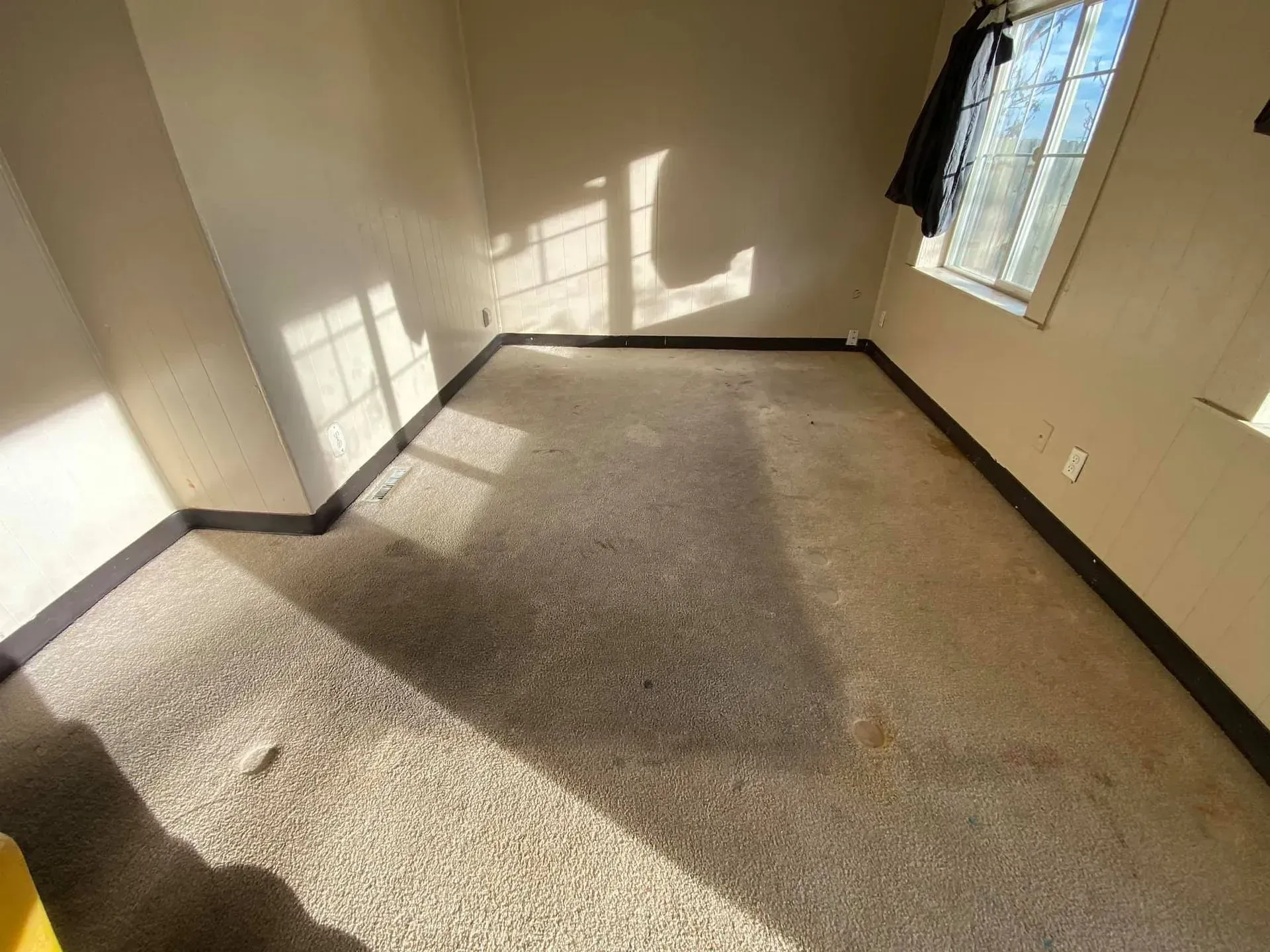 Before professional carpet cleaning service in Columbus, Ohio.
