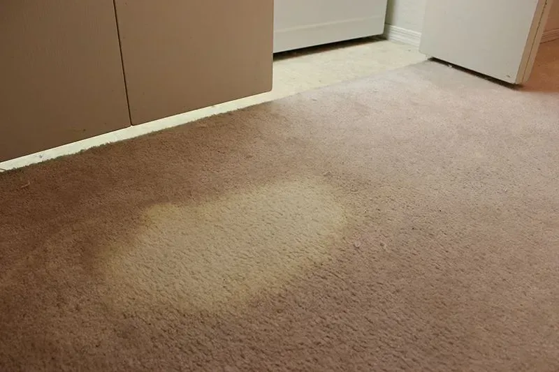Before carpet repair service in Columbus, Ohio.