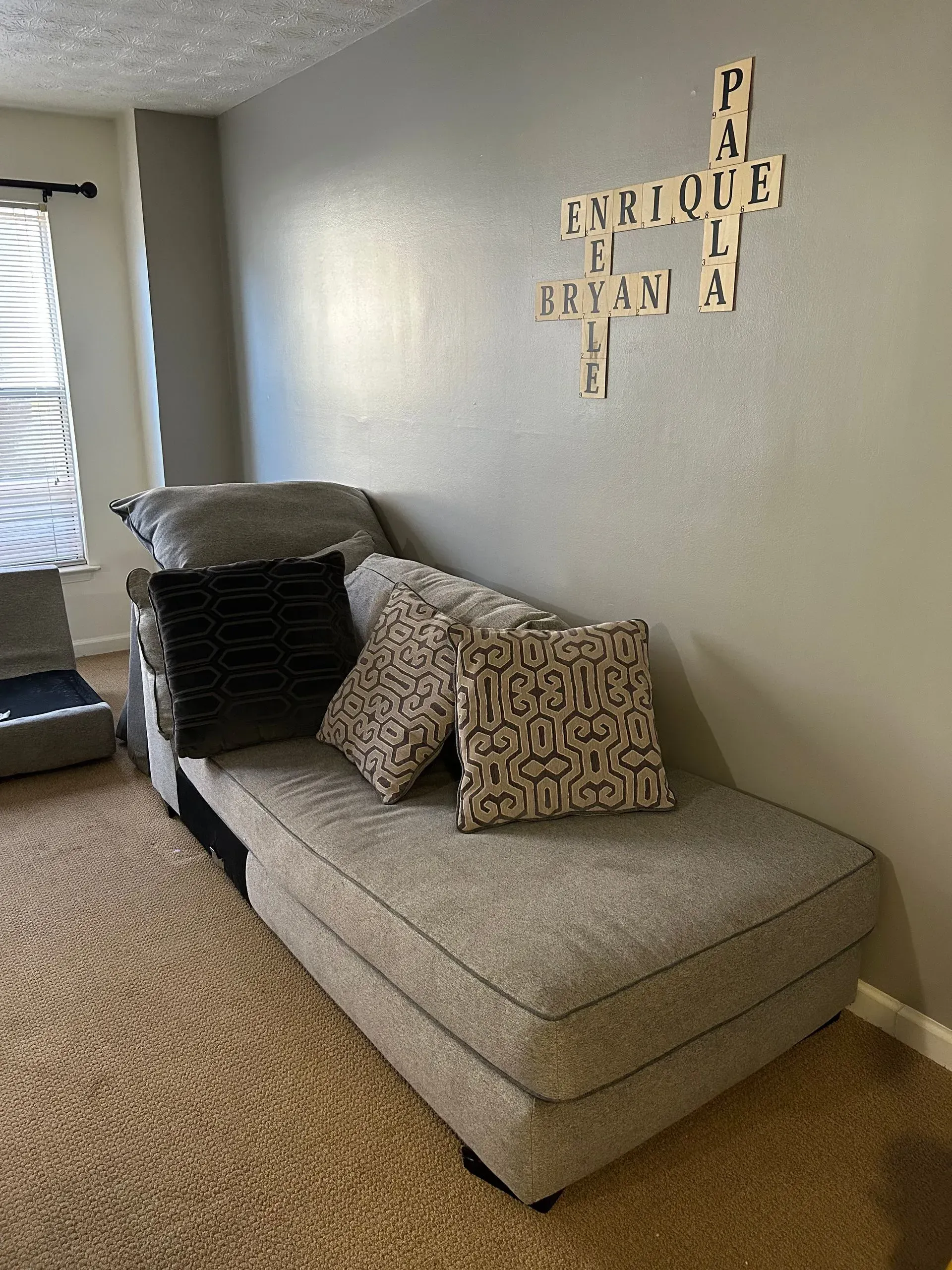 Before furniture upholstery cleaning service in Atlanta, Georgia.