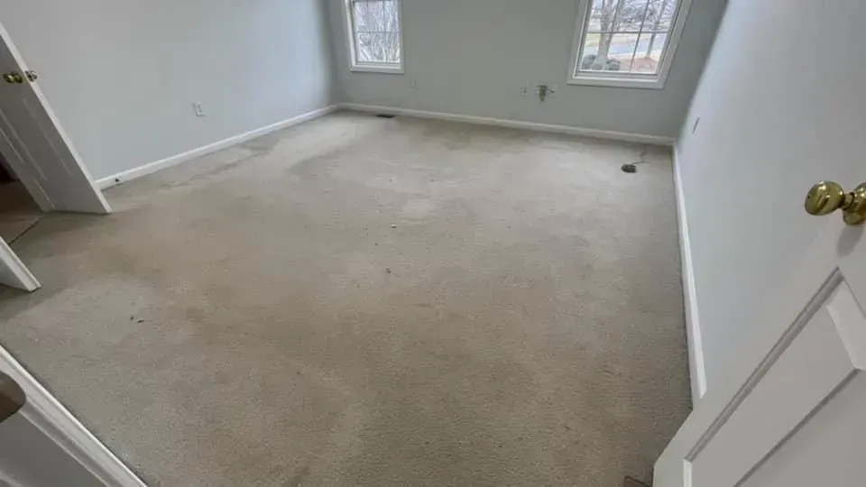 Before professional carpet cleaning service in Denver, Colorado.