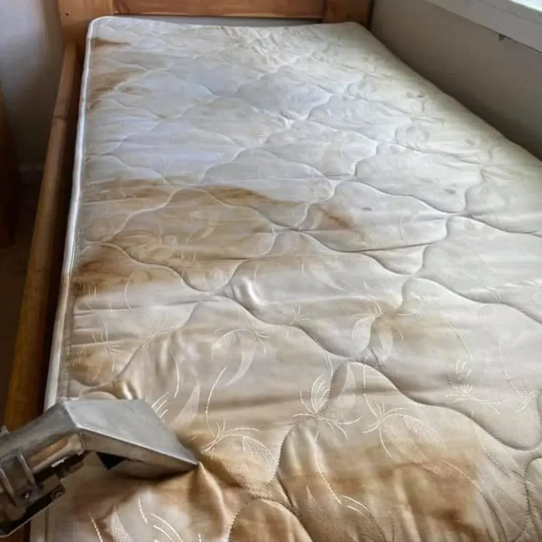 Before furniture upholstery cleaning service in Denver, Colorado.