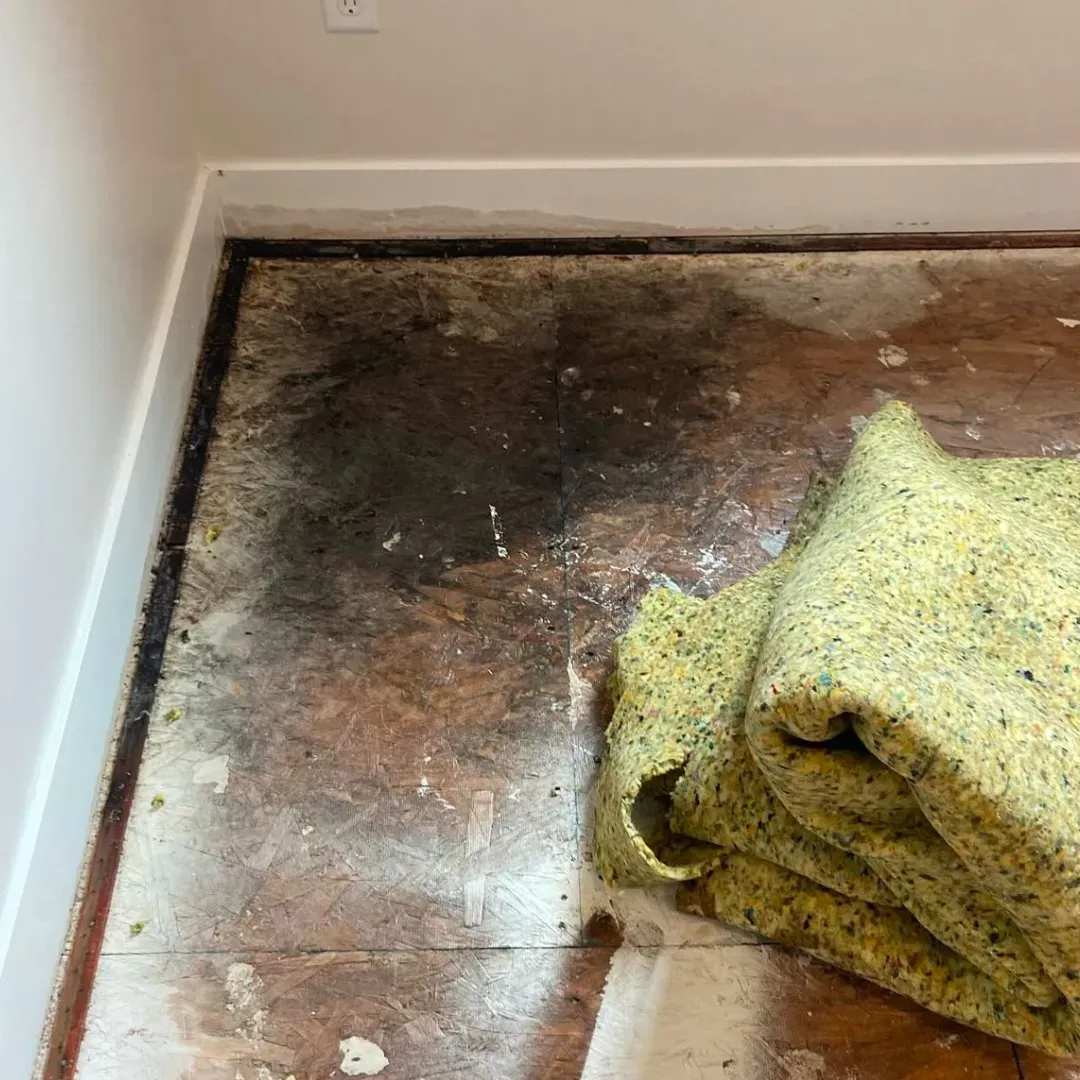Carpet padding repair service in Columbus, Ohio.
