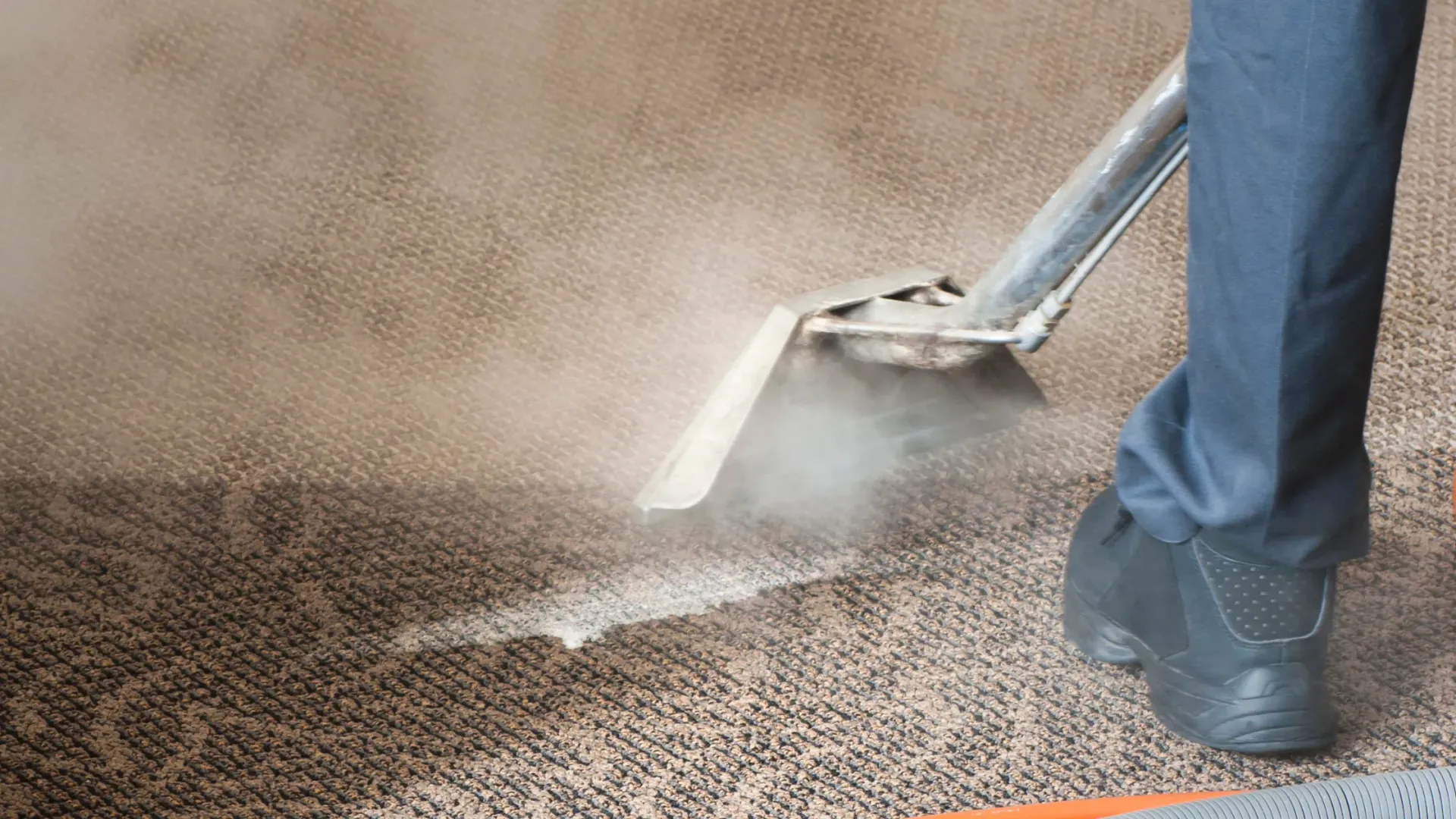 Professionally carpet cleaned office carpet.