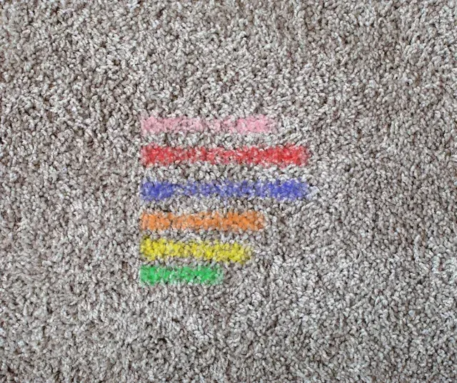 Color stain removal and steam carpet cleaning service in Atlanta, Georgia home.