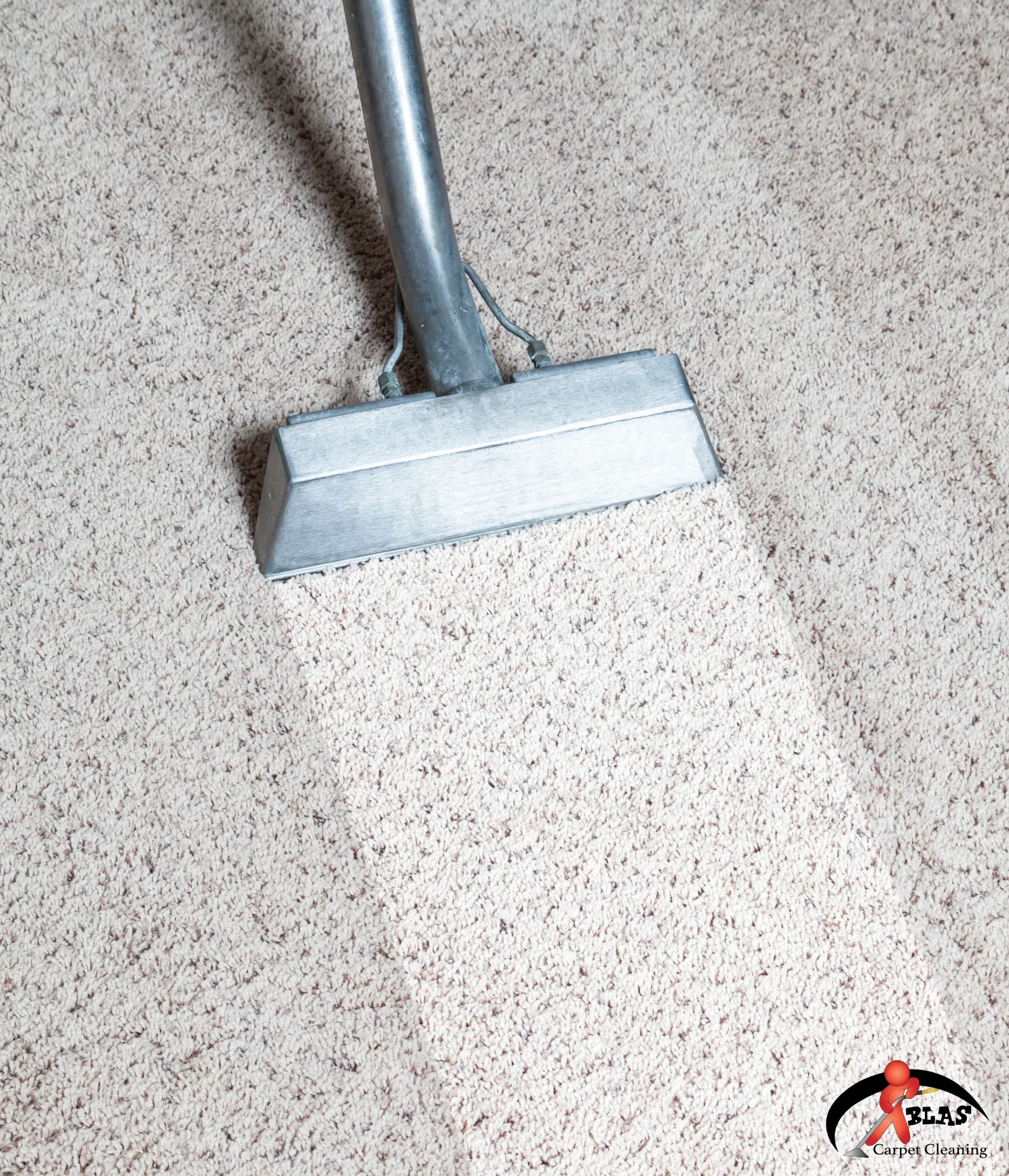 Professional carpet cleaning specialist removing stains from carpeting in Denver Colorado home.