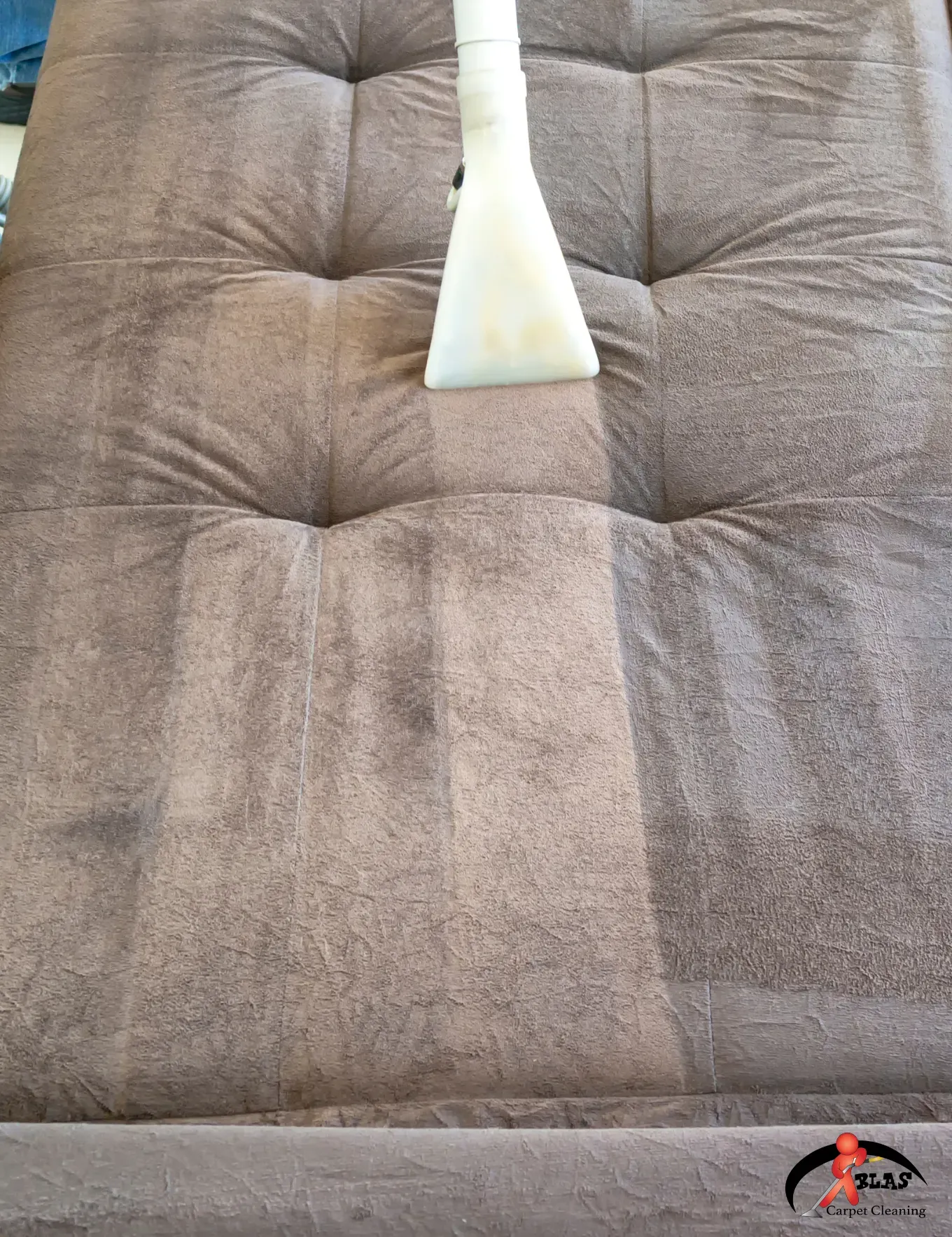 Professional upholstery cleaning specialist removing stains from sofa in Denver, Colorado home.