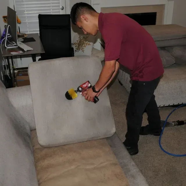 Professional furniture cleaning technician agitating stains on sofa using the upholstery shampooing method.