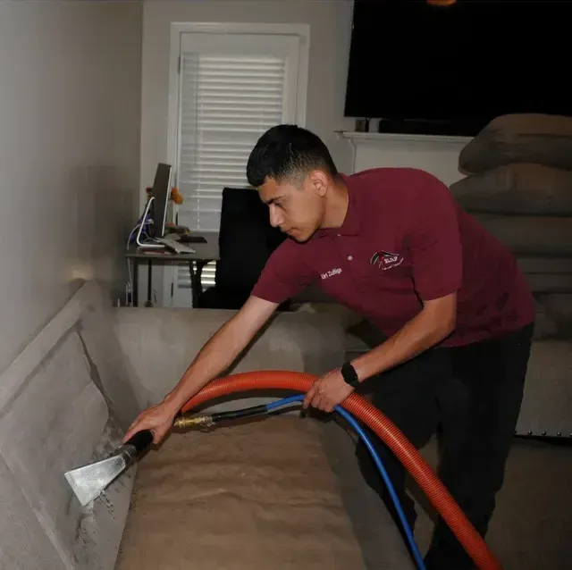 Blas Carpet technician removing stains on sofa using the upholstery steam cleaning method.