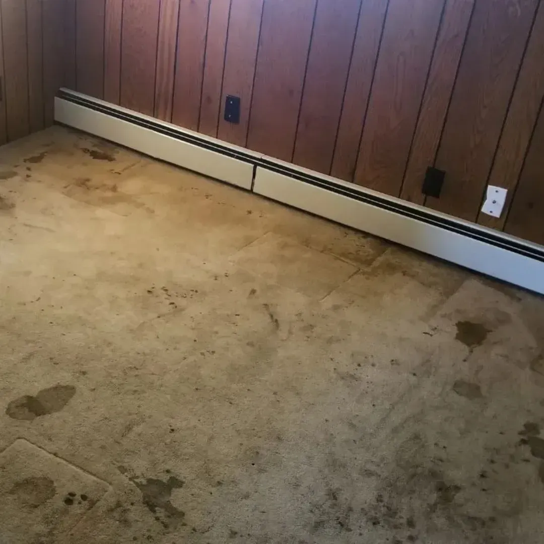 Stained bedroom carpet getting ready to be professionally carpet cleaned in Atlanta, Georgia home.