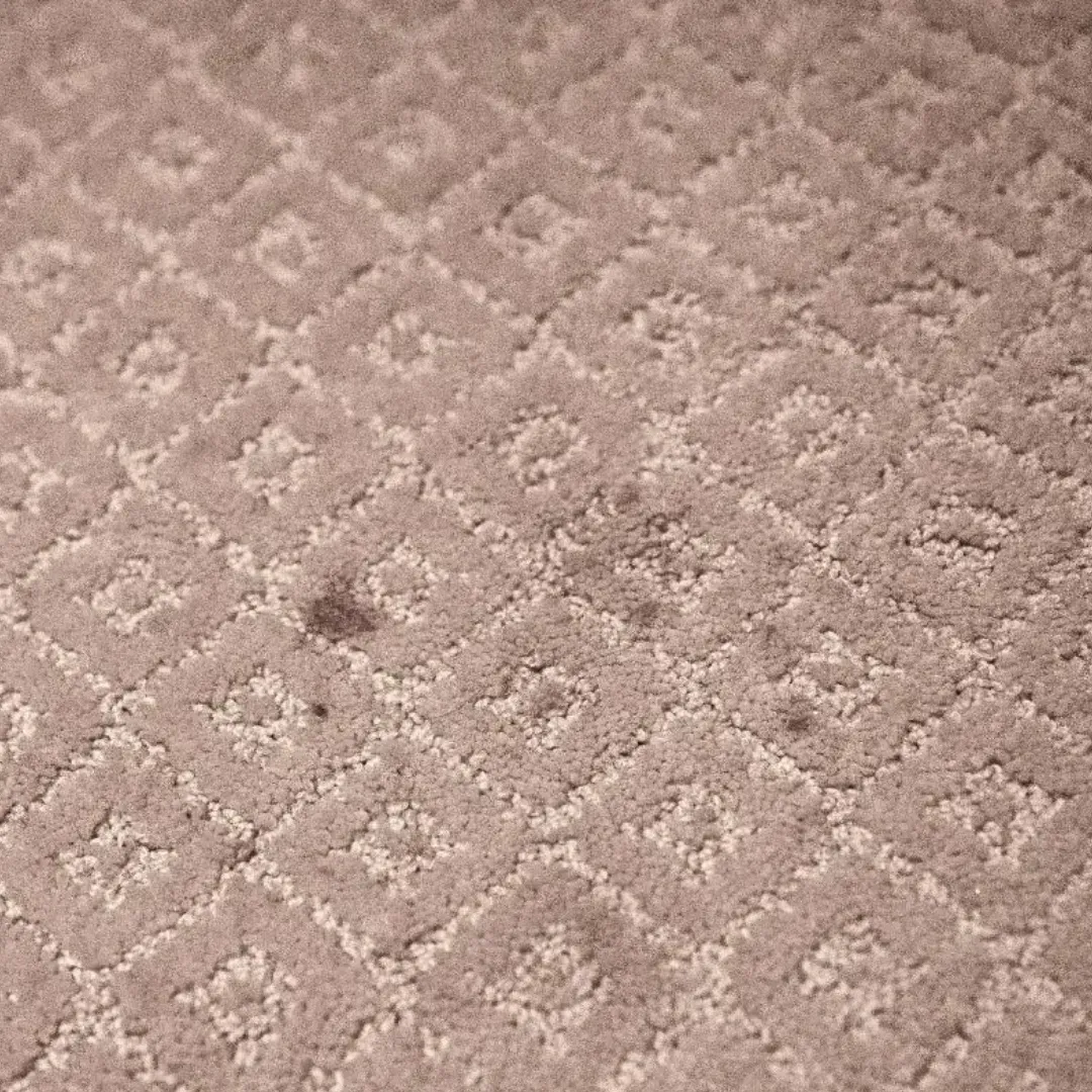 Stained carpet getting ready to be steam carpet cleaned in Columbus, Ohio home.