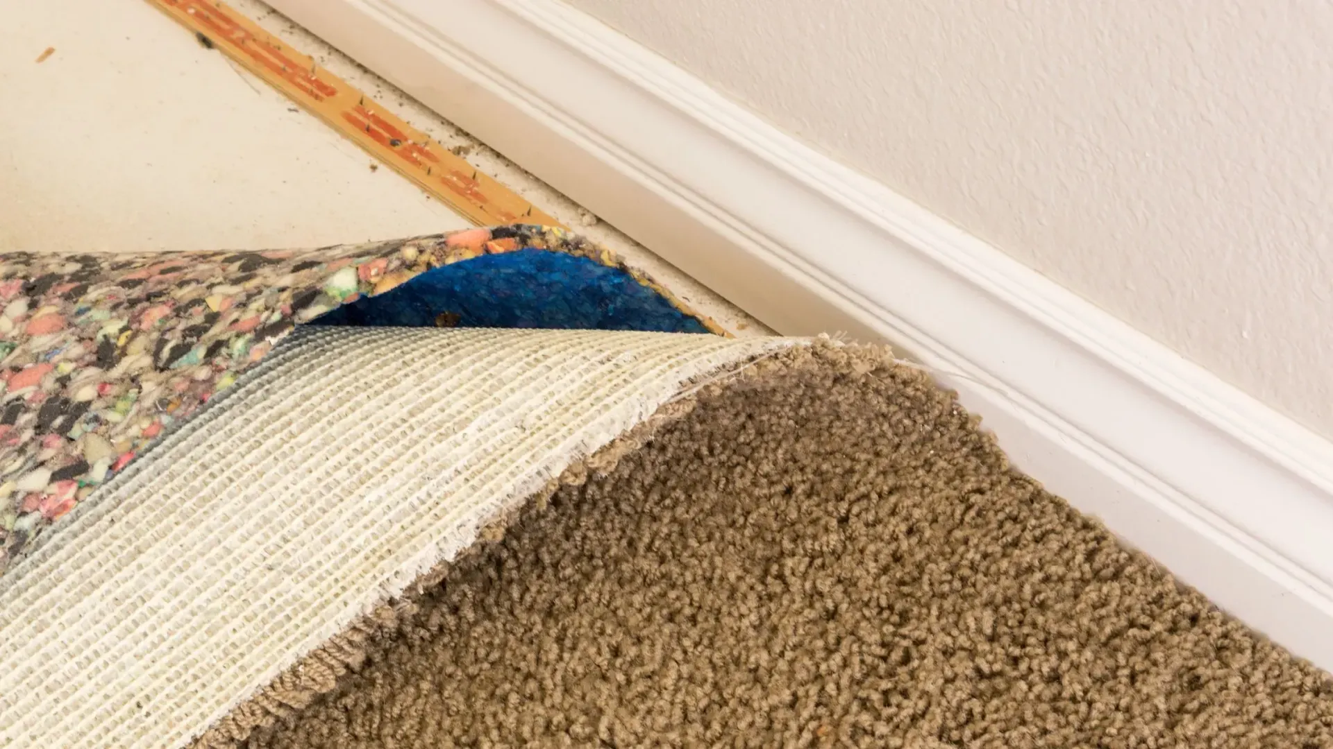 Carpet installation process and layers. 