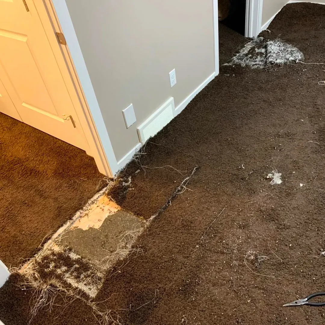 Damaged bedroom carpet getting restored using carpet repair methods in Atlanta home.