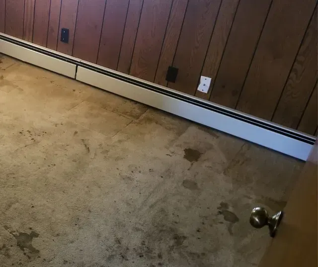 Dirt stain removal and steam carpet cleaning service in Atlanta, Georgia home.