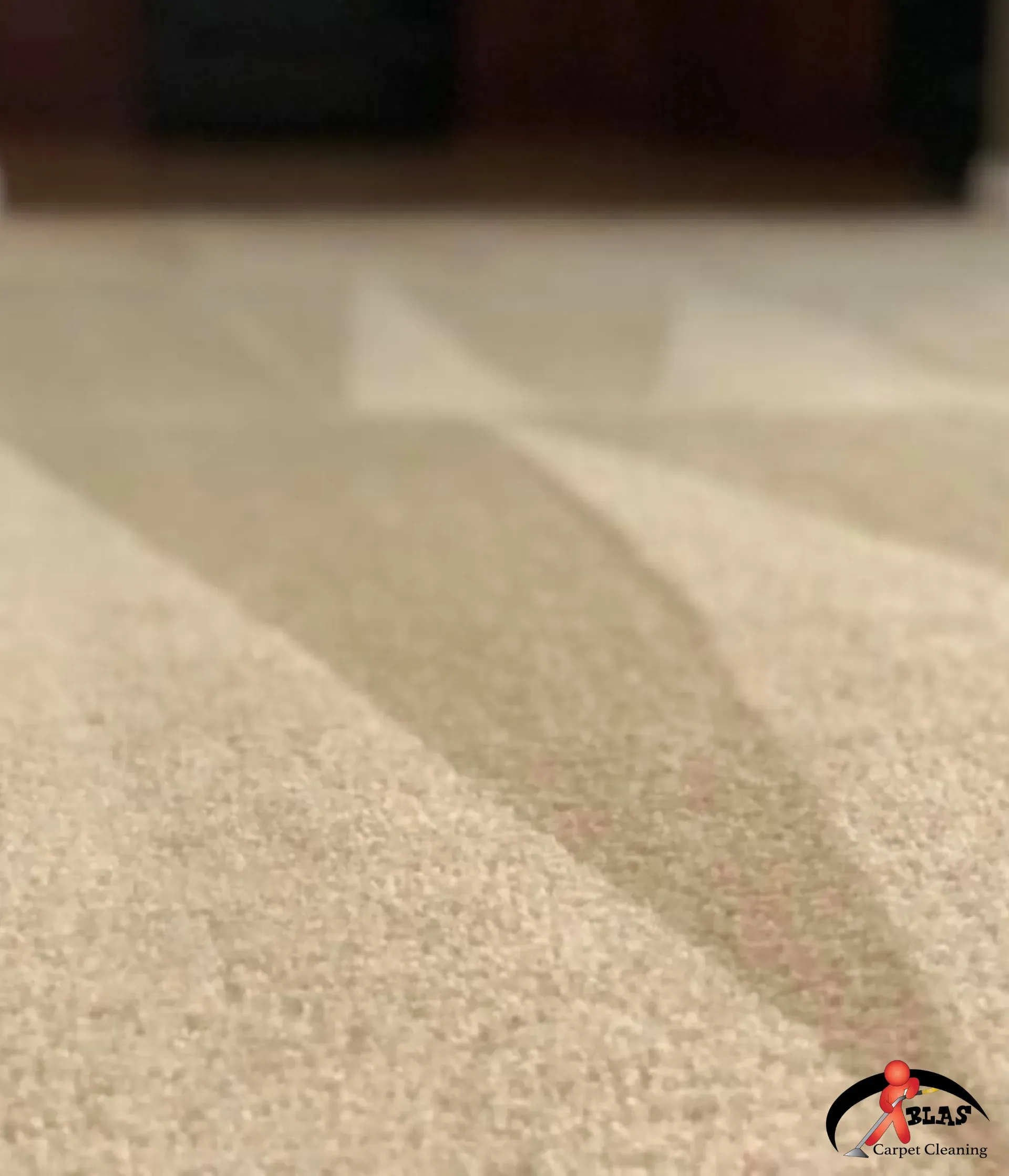 Professionally steam cleaned residential home carpet.