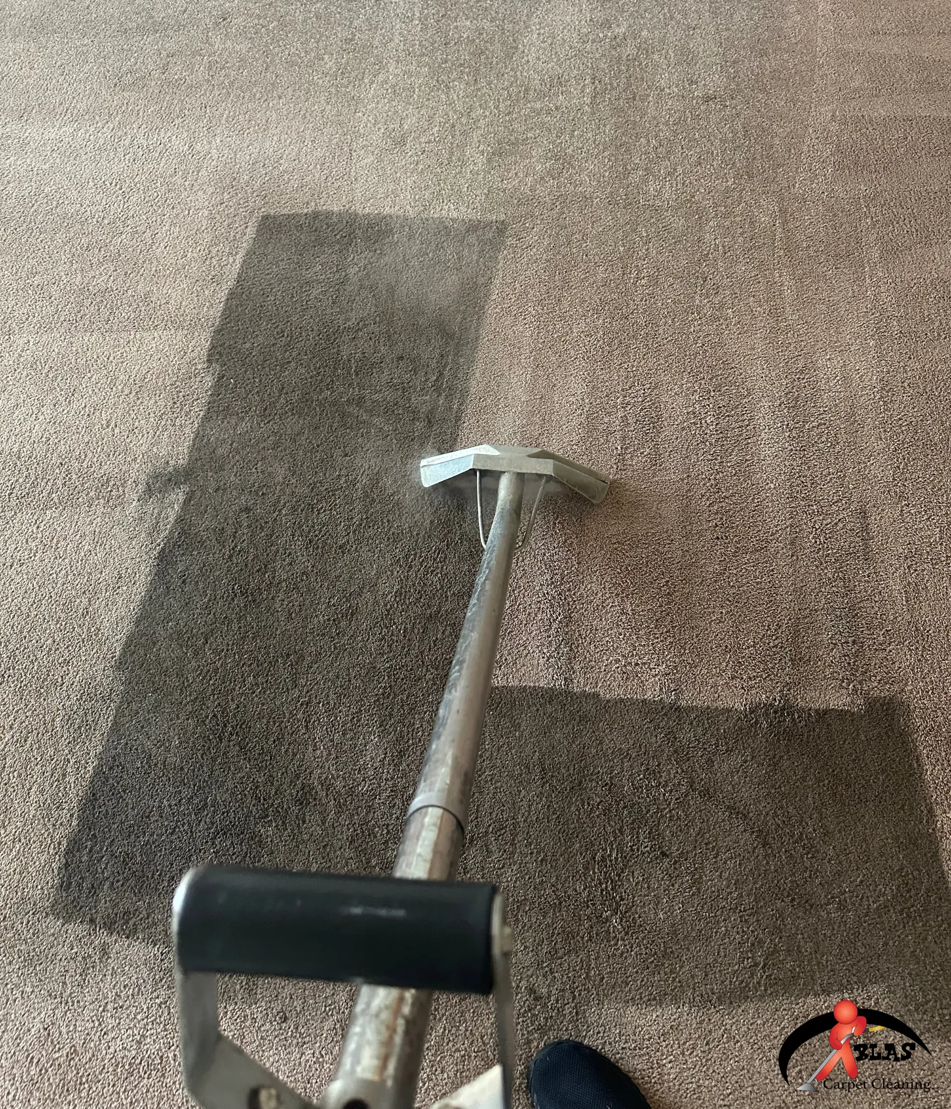 Professionally steam cleaned residential home carpet.
