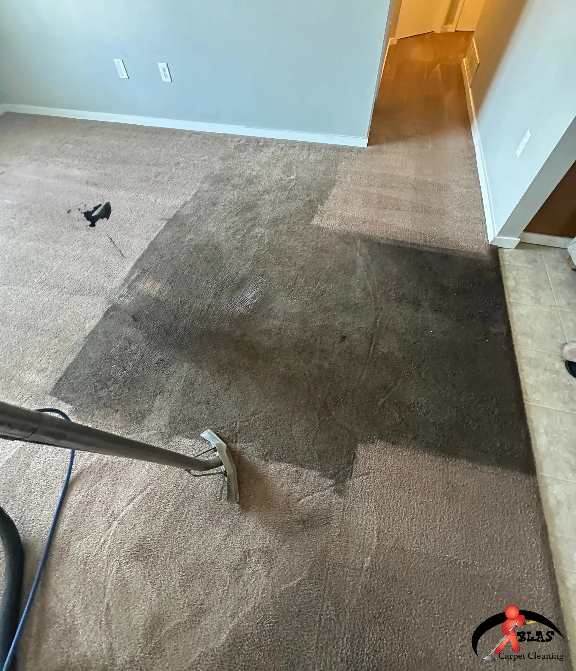 Professional carpet cleaning service in Denver Colorado home.