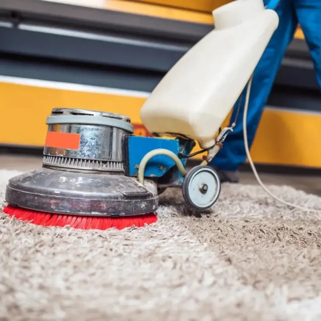 Professional shampoo carpet cleaning technician agitating stains from carpet.