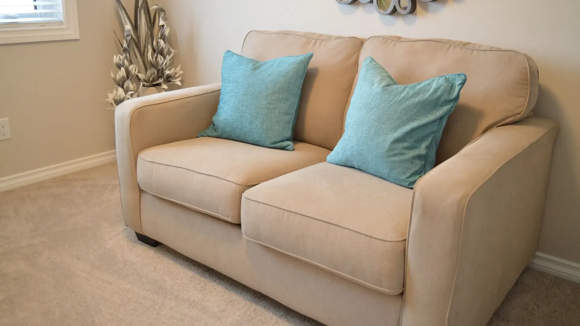 Professional steam cleaning couch throw pillows.