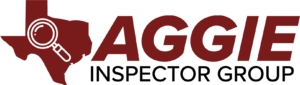 Logo: Texas outline, magnifying glass, 